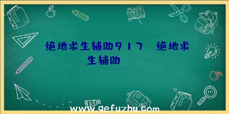 「绝地求生辅助917」|绝地求生辅助zuidi